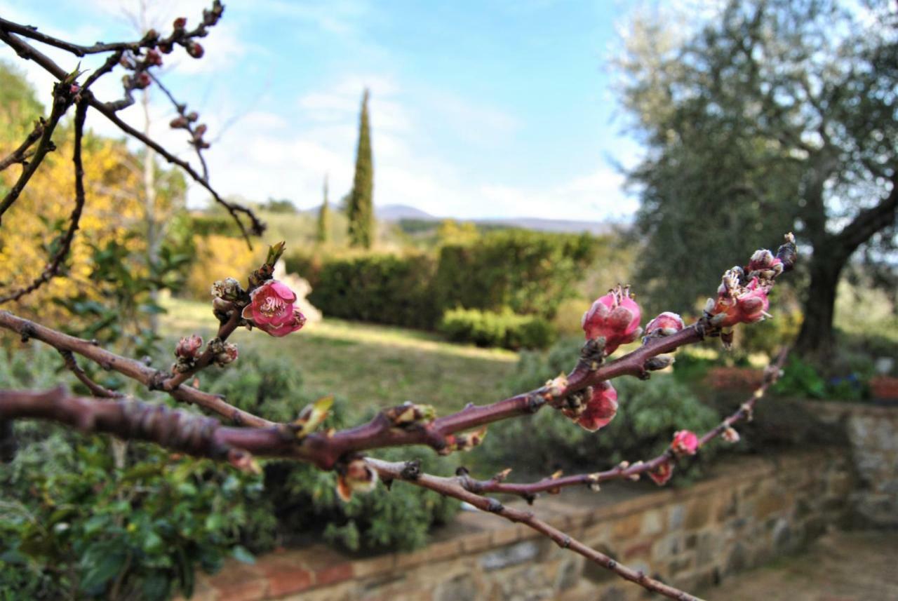 Casa Fioranna Vila Seggiano Exterior foto